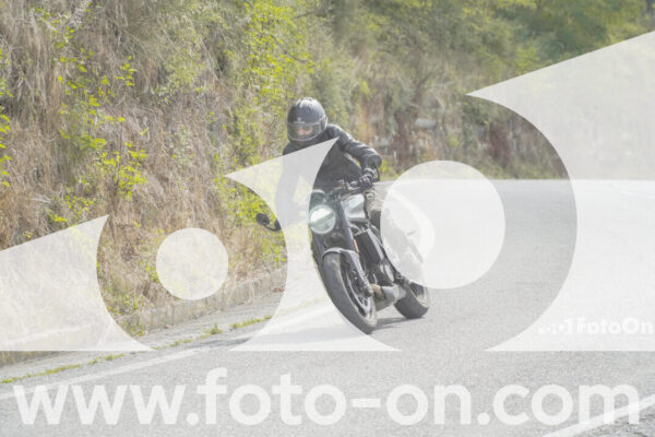 <h1 class="product-title">thumb_FF109003</h1>