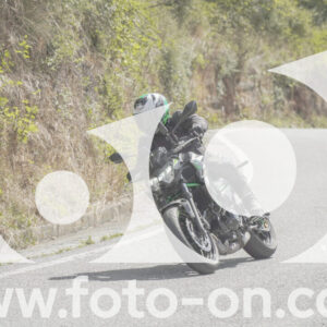 thumb_FF109031