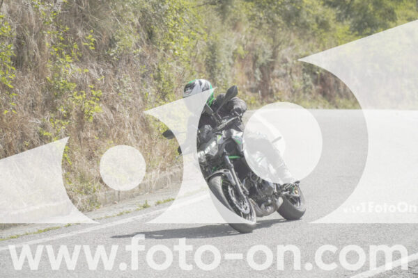 <h1 class="product-title">thumb_FF109031</h1>