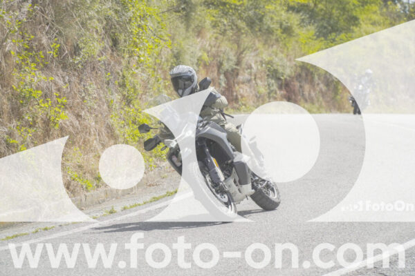 <h1 class="product-title">thumb_FF109080</h1>