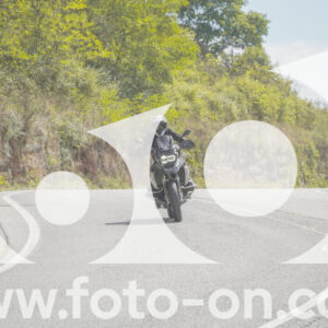 thumb_FF109081
