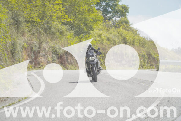 <h1 class="product-title">thumb_FF109081</h1>