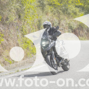 thumb_FF109082