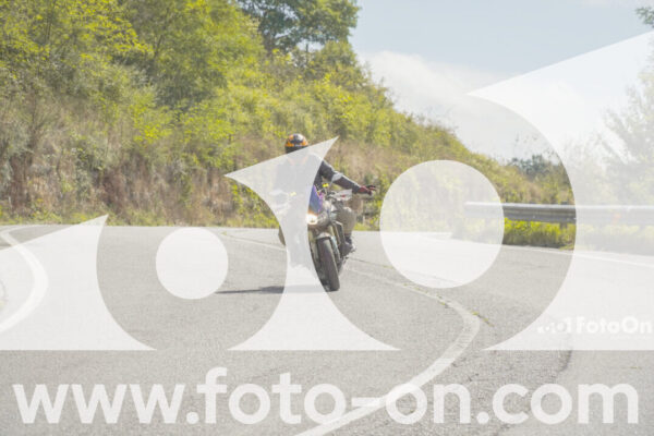 <h1 class="product-title">thumb_FF109093</h1>