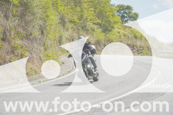 <h1 class="product-title">thumb_FF109104</h1>