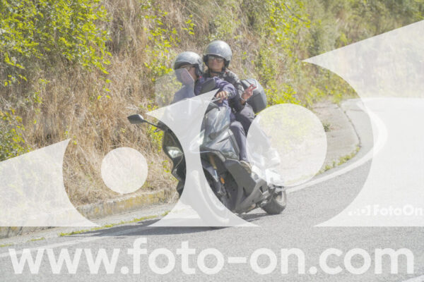 <h1 class="product-title">thumb_FF109111</h1>