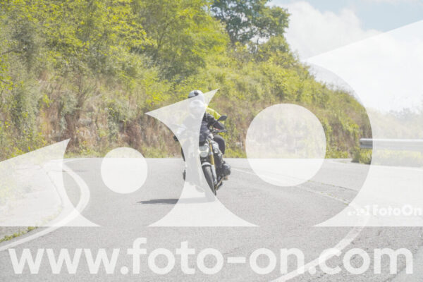<h1 class="product-title">thumb_FF109113</h1>