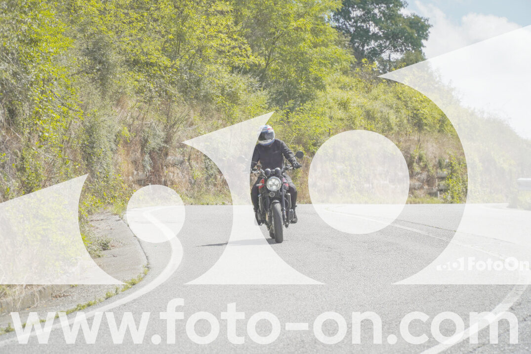 thumb_FF109117