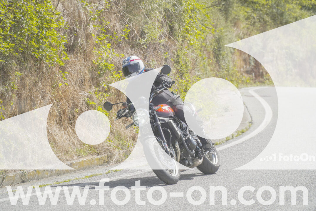 thumb_FF109118