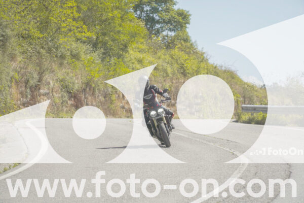 <h1 class="product-title">thumb_FF109213</h1>