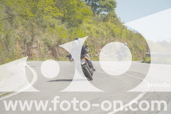 <h1 class="product-title">thumb_FF109234</h1>