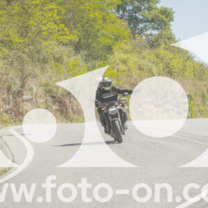 thumb_FF109265