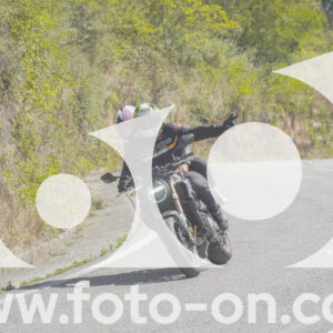 thumb_FF109266