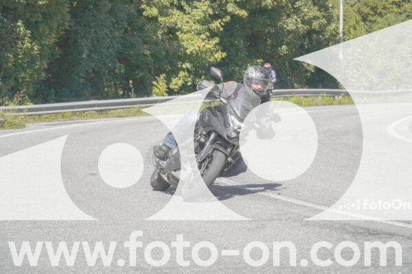 <h1 class="product-title">thumb_FF109268</h1>