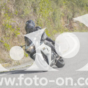 thumb_FF109276