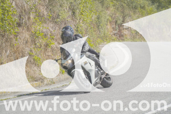 <h1 class="product-title">thumb_FF109276</h1>