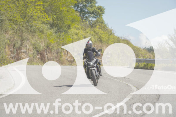 <h1 class="product-title">thumb_FF109285</h1>