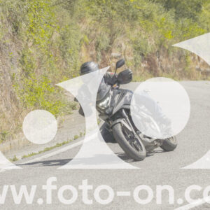 thumb_FF109295