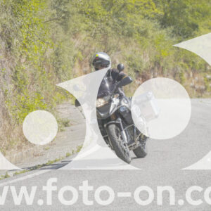 thumb_FF109305