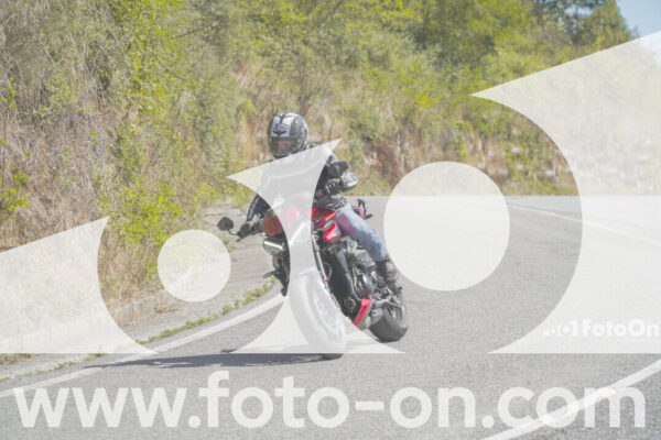 <h1 class="product-title">thumb_FF109327</h1>