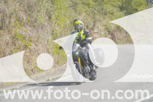 <h1 class="product-title">thumb_FF109338</h1>
