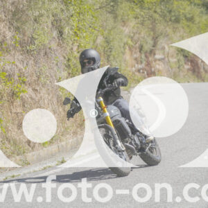 thumb_FF109346