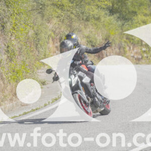 thumb_FF109353