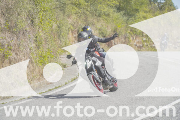 <h1 class="product-title">thumb_FF109353</h1>