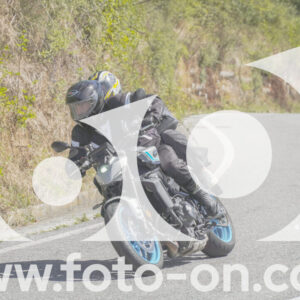 thumb_FF109359