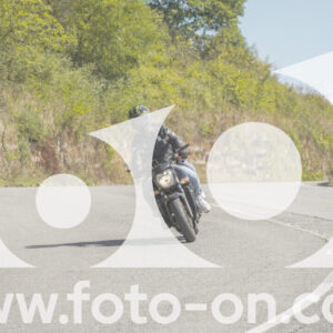 thumb_FF109361