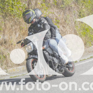 thumb_FF109362