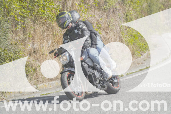 <h1 class="product-title">thumb_FF109362</h1>