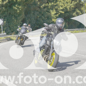 thumb_FF109368