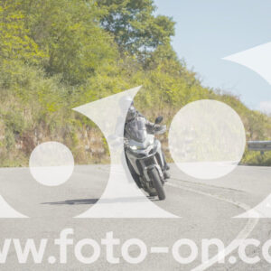 thumb_FF109371