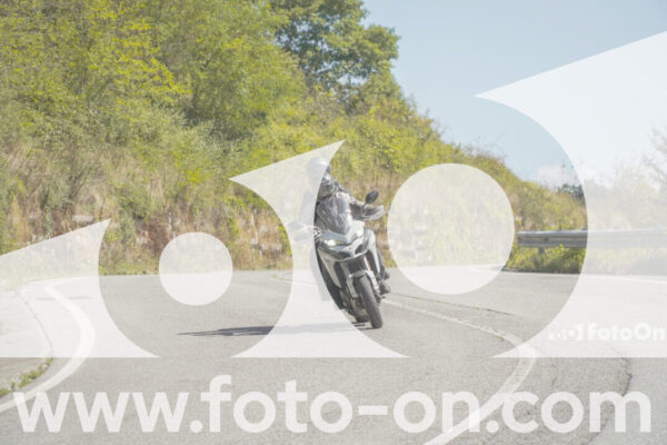 <h1 class="product-title">thumb_FF109371</h1>