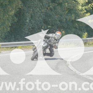 thumb_FF109386