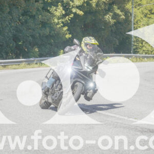 thumb_FF109389