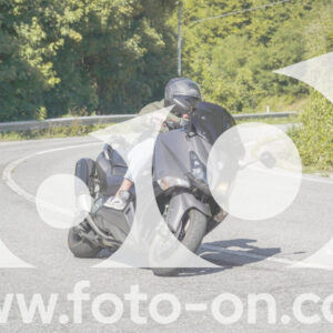 thumb_FF109397