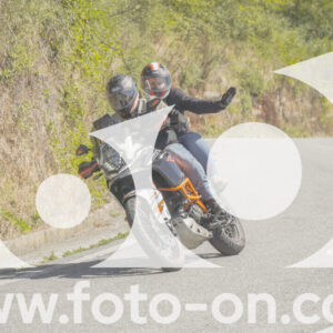 thumb_FF109399