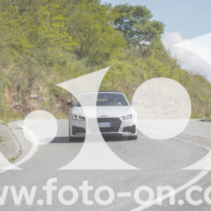 thumb_FF109400