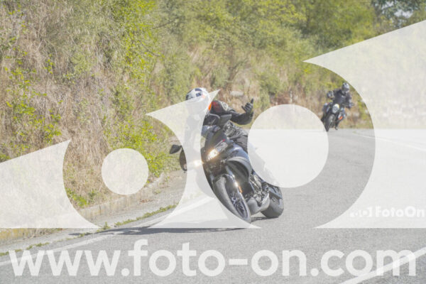 <h1 class="product-title">thumb_FF109406</h1>