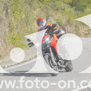 thumb_FF109429