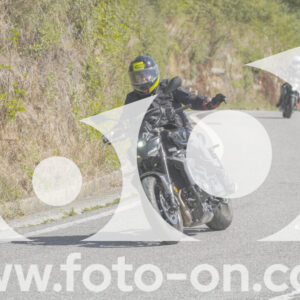 thumb_FF109454
