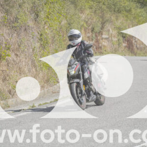 thumb_FF109455