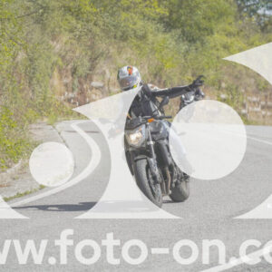 thumb_FF109456