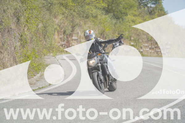 <h1 class="product-title">thumb_FF109456</h1>