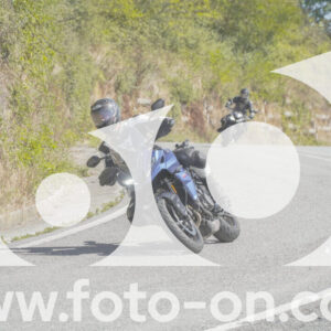 thumb_FF109545