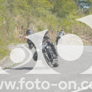 thumb_FF109546