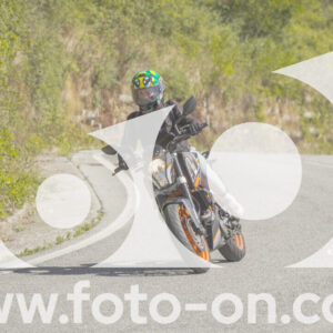 thumb_FF109549