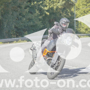 thumb_FF109556